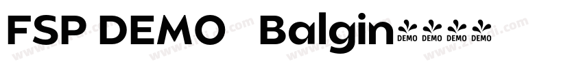 FSP DEMO   Balgin字体转换